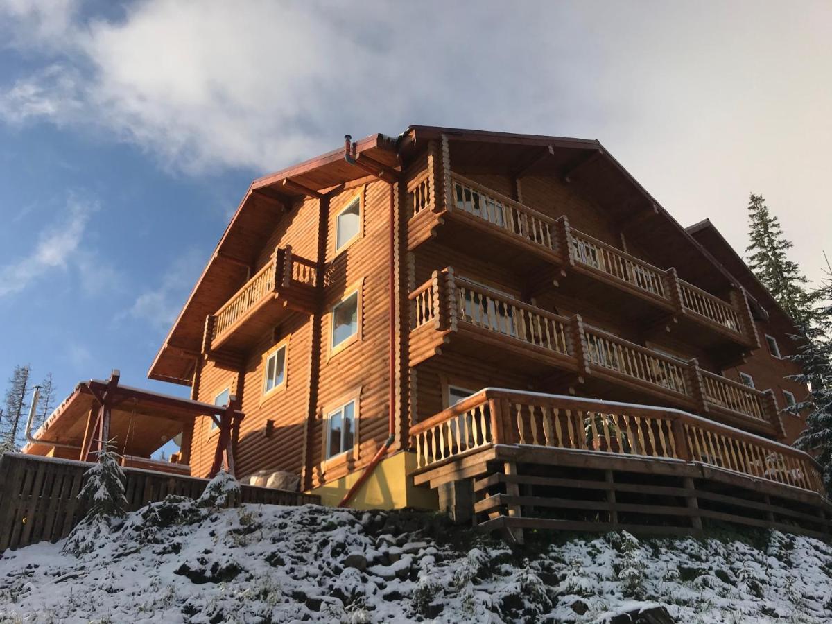 Alpin Eco Chalet & Wellness Драгобрат Экстерьер фото