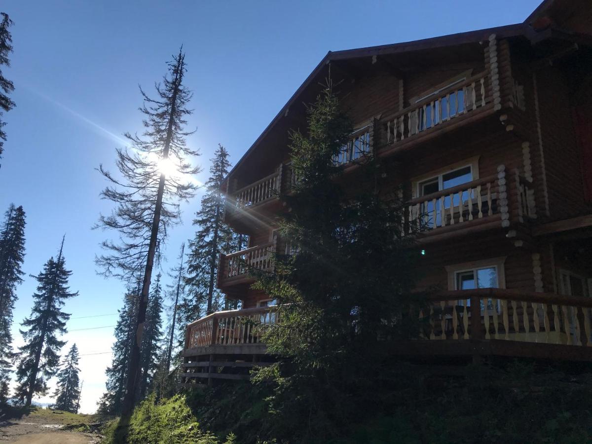 Alpin Eco Chalet & Wellness Драгобрат Экстерьер фото