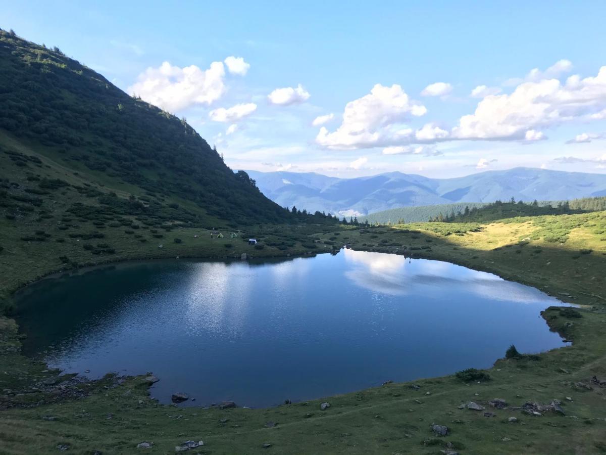 Alpin Eco Chalet & Wellness Драгобрат Экстерьер фото