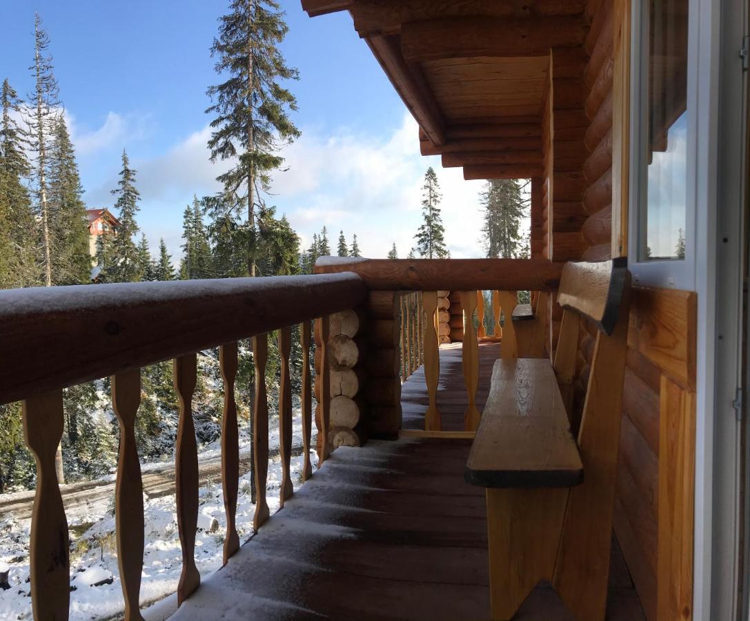 Alpin Eco Chalet & Wellness Драгобрат Экстерьер фото